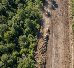 biaya land clearing